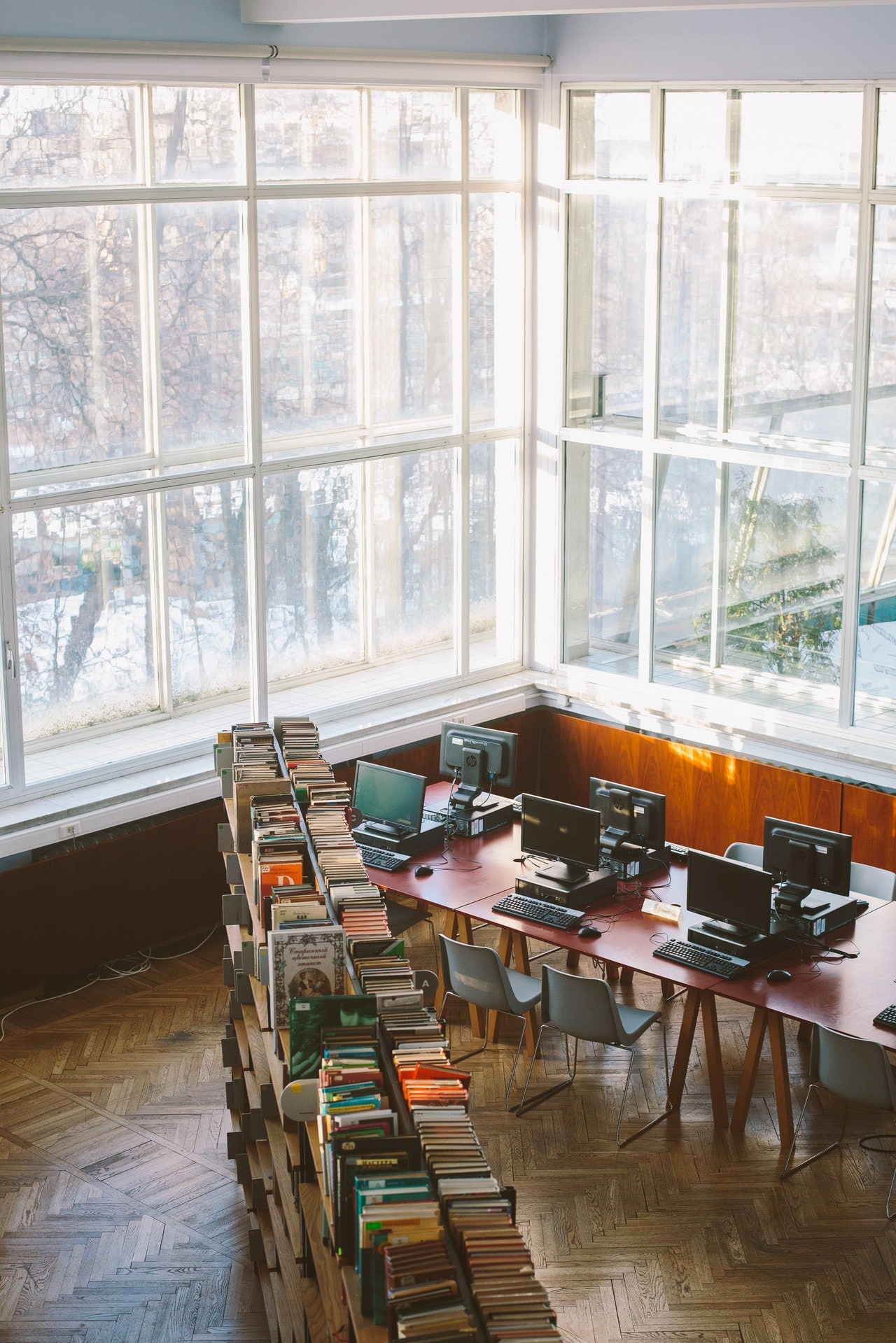 livres-anglais-programme-première-S