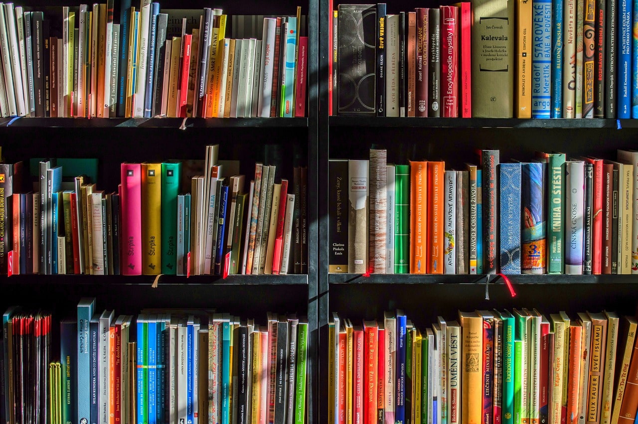 programme-livres-français-première-es