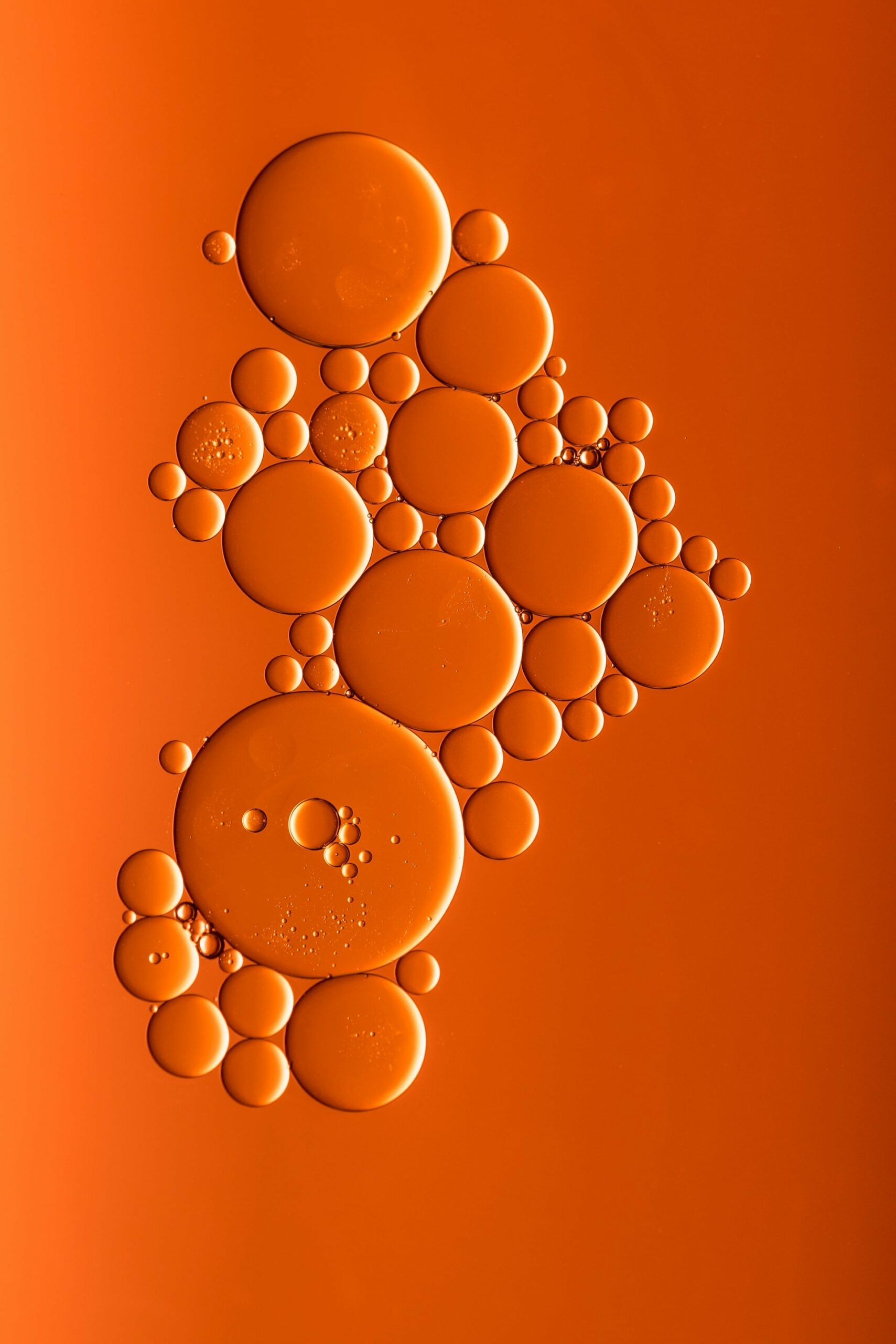 schéma de bulles dans un liquide en sciences de première l