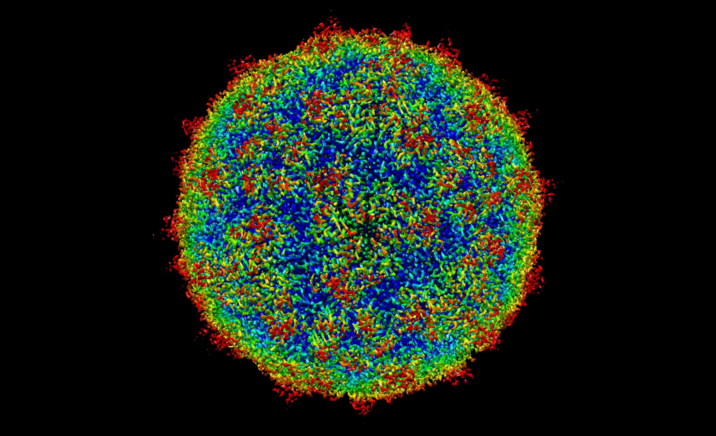 observation au microscope d'une bactérie du programme de svt