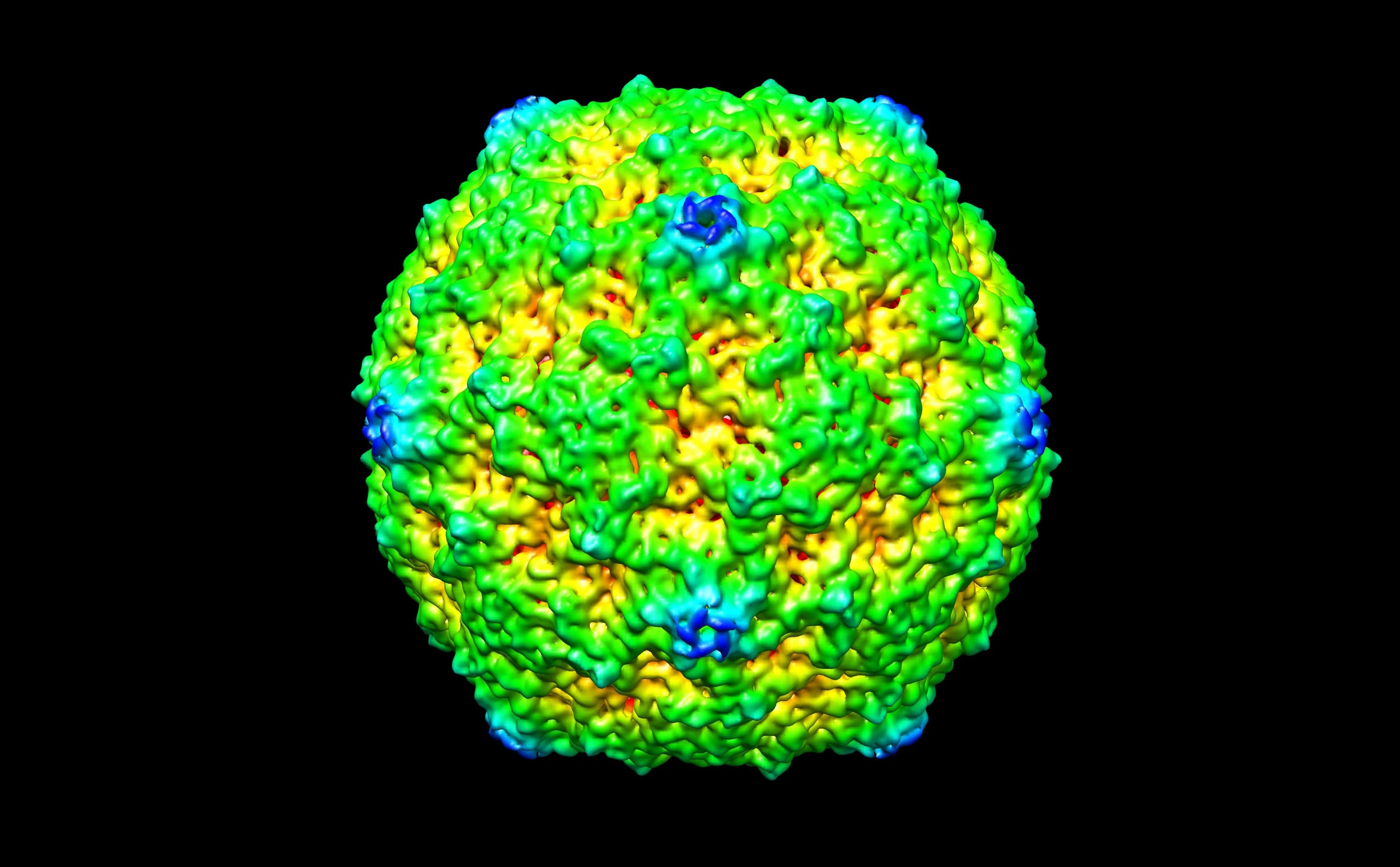 schéma d'une molécule observée au microscope d'un TP de SVT