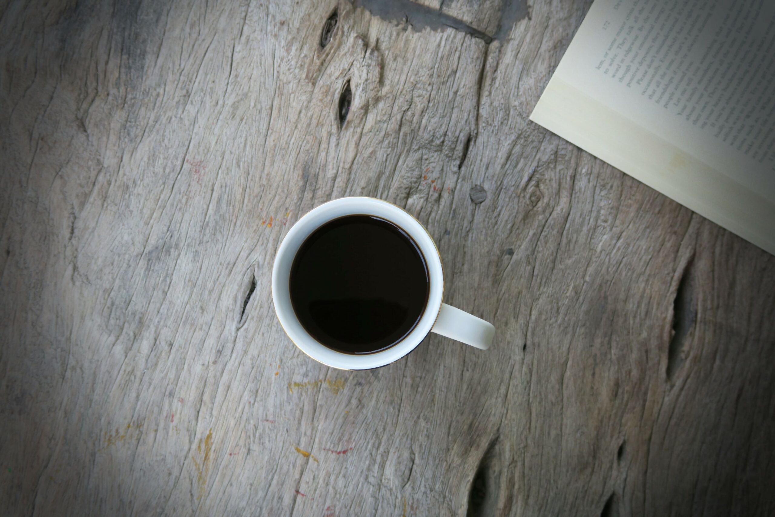 séance de travail avec un livre de français
