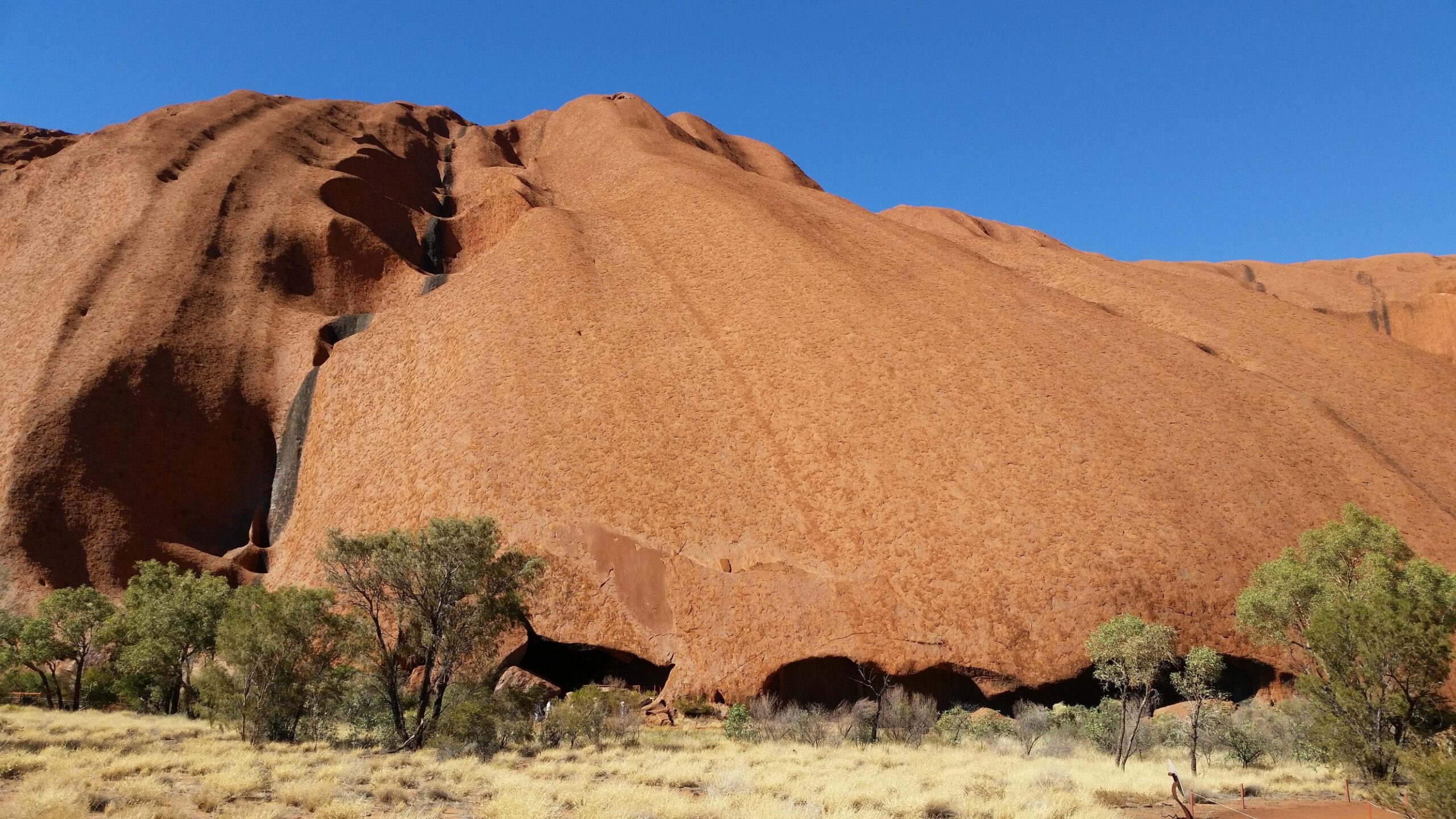 un paysage désertique d'Afrique avec du sable et de la savane
