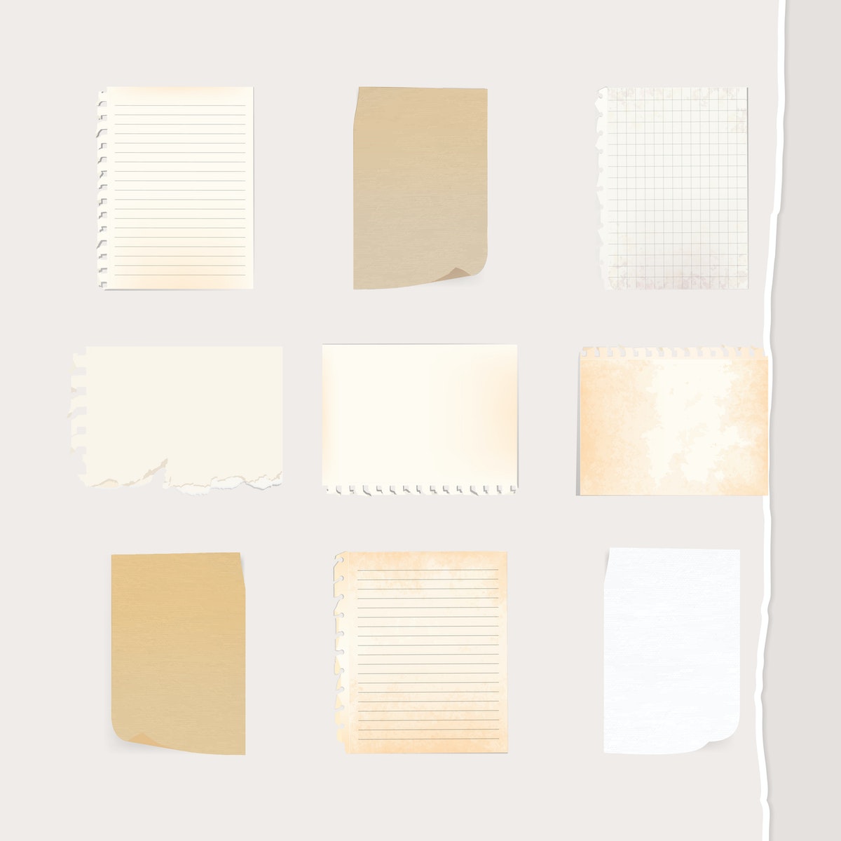 des feuilles de papier pour tracer les graphiques de sciences
