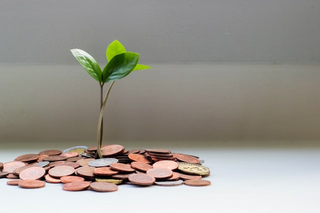 une plante verte sortant d'un tas de pièces, symbole de l'économie verte