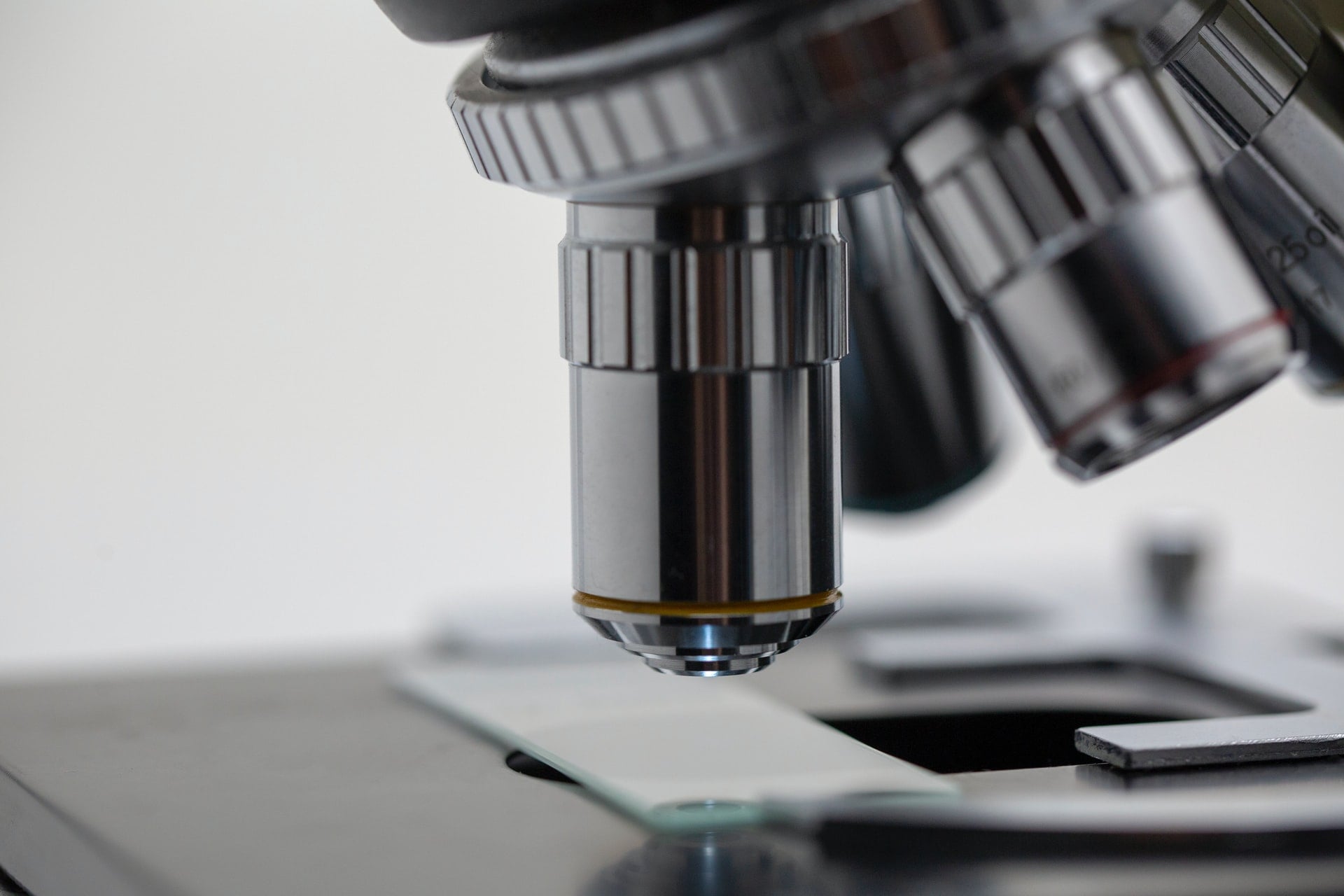 une microscope de SVT observant une plaque