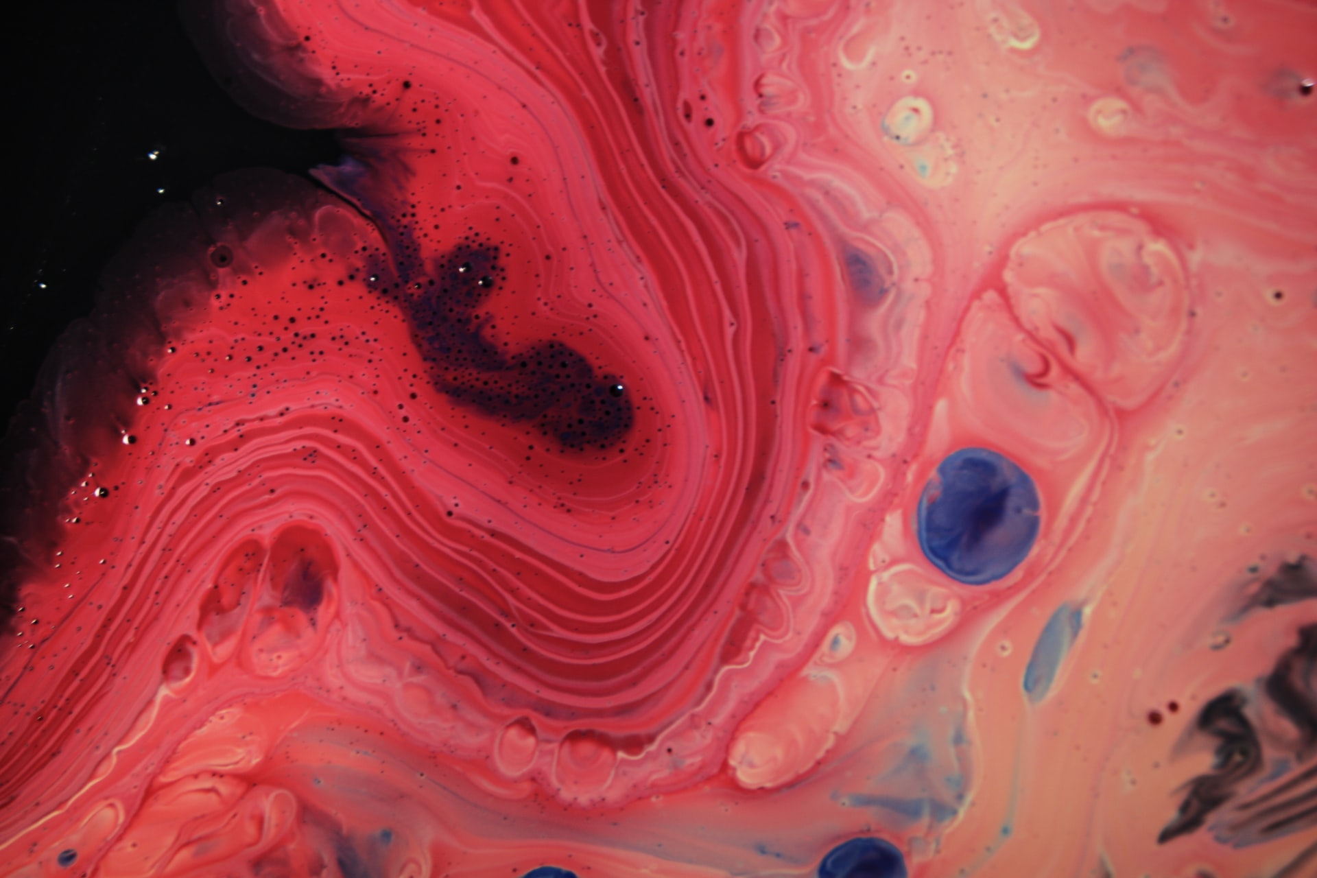 l'analyse au microscope d'une cellule sanguine