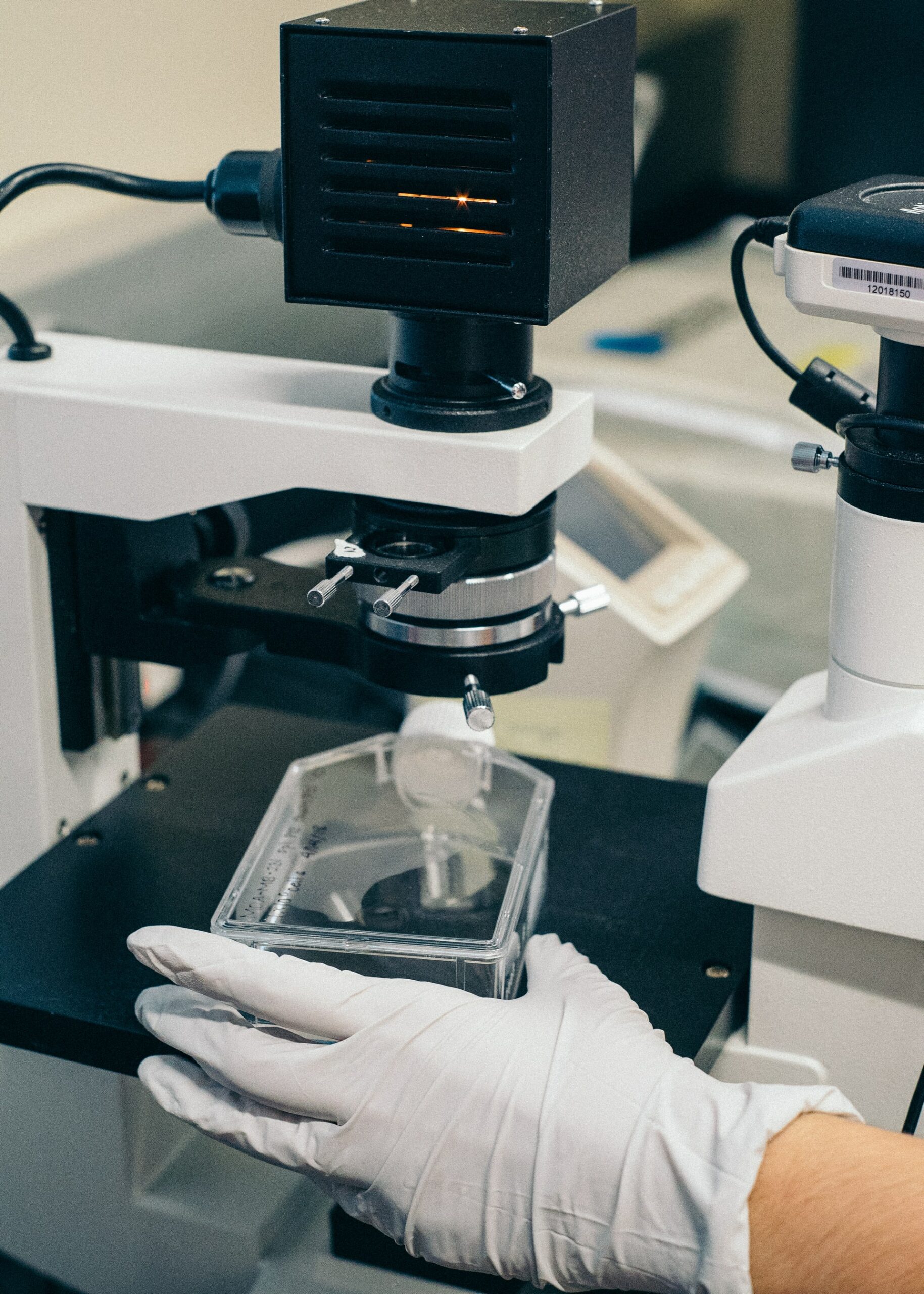 une microscope avec caméra pour filmer une expérience de biologie
